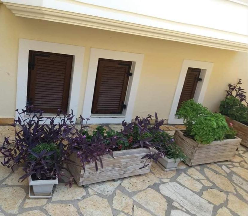 Villa Karolina Tsogkas Syvota Exterior foto